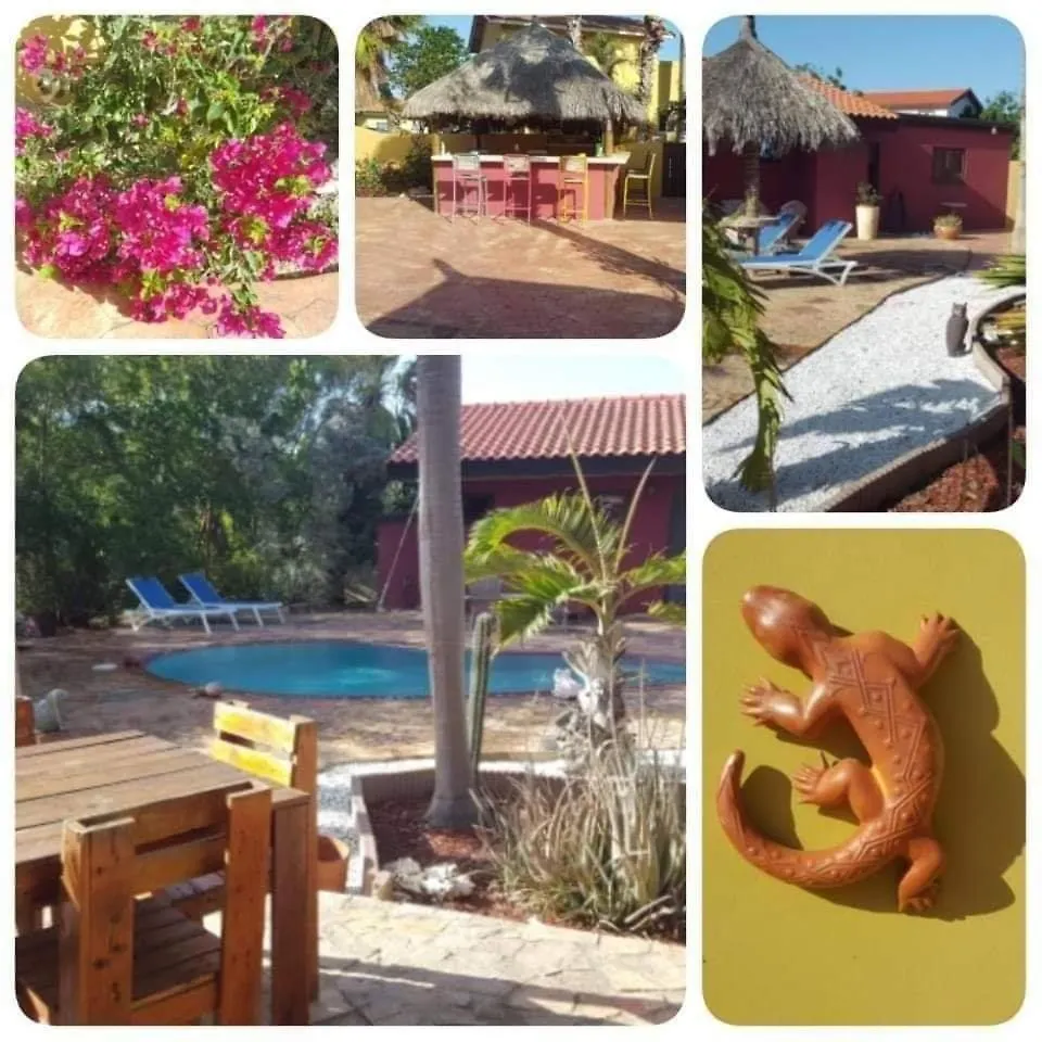 Caya Luna Apartments Ораньестад Аруба